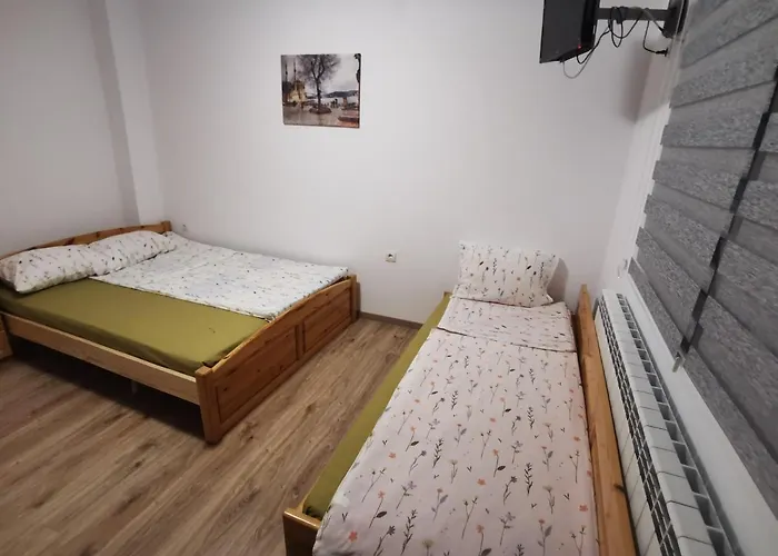 Orlino * サルニトゥサ