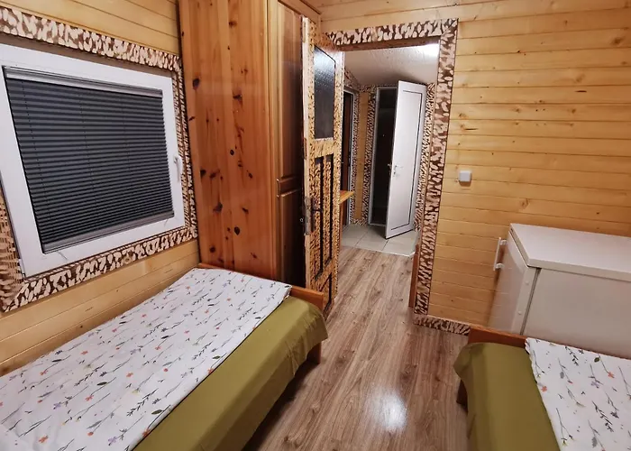 Orlino サルニトゥサ